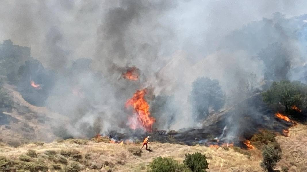 Bingöl'ün Genç ve Kiğı ilçelerinde orman yangını - Resim: 7